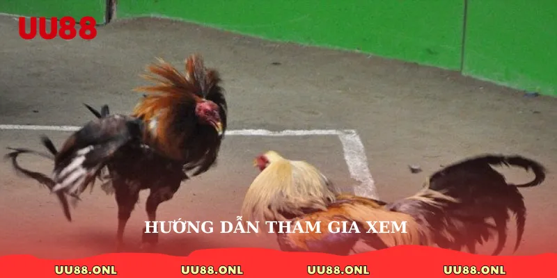 Hướng dẫn tham gia xem 