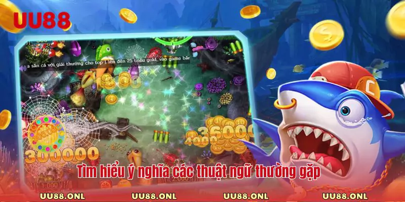 Tìm hiểu ý nghĩa các thuật ngữ thường gặp